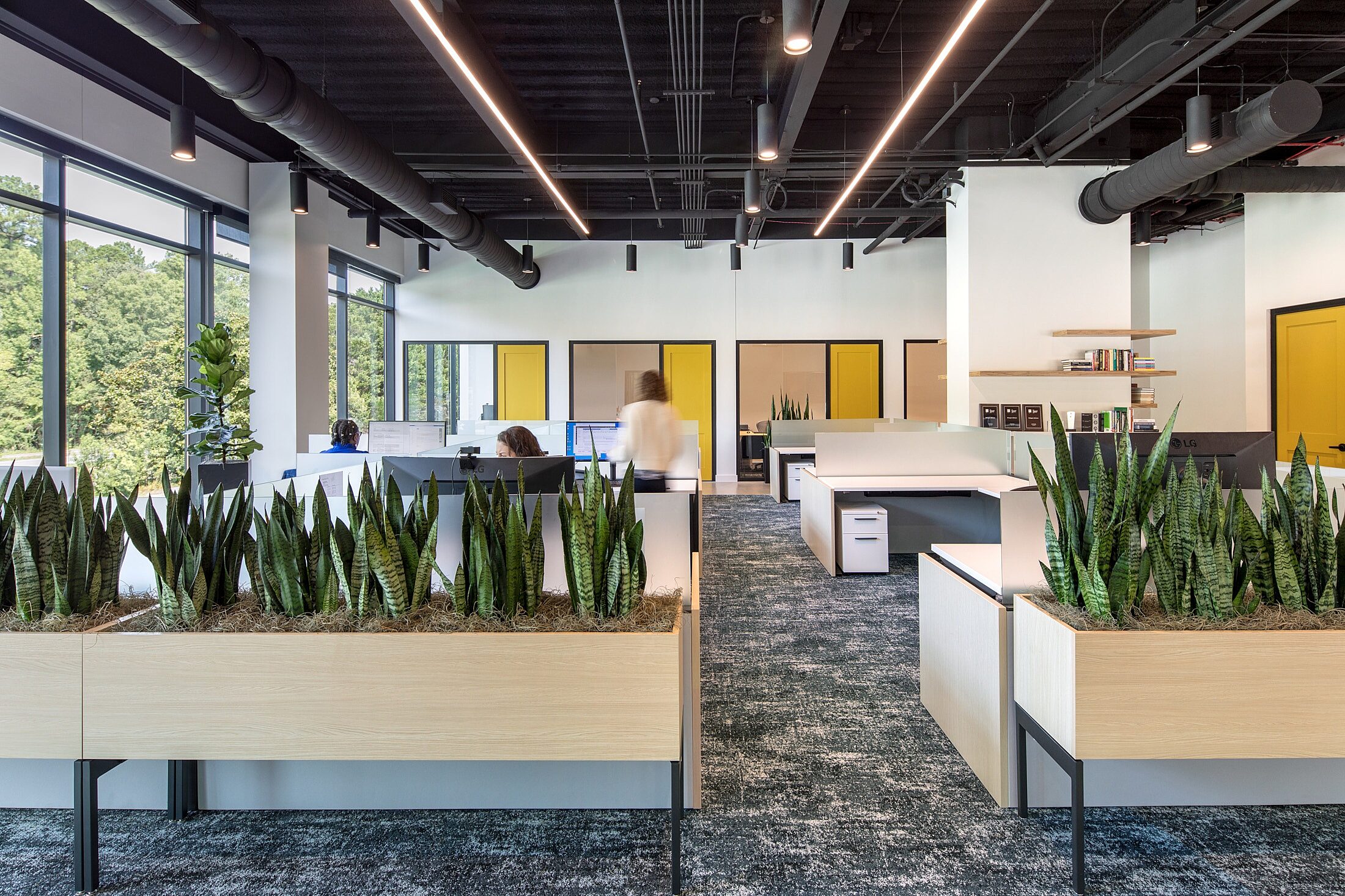 Web Ready Delegate Advisors Redline Design Raleigh 008